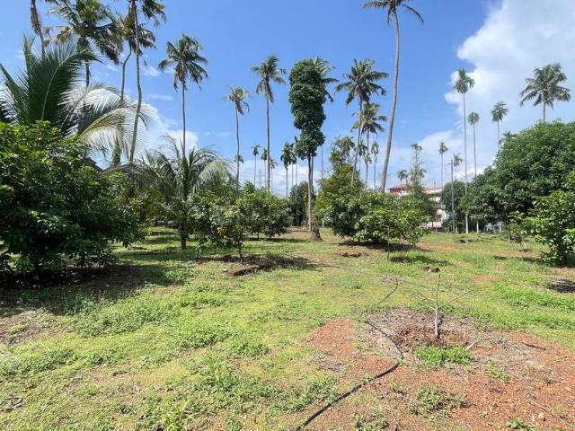 Land for sale in Aluva, Kerala