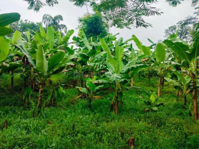 Land for sale in Aluva, Kerala