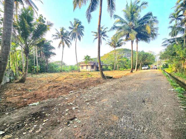 Land for sale in Aluva, Kerala