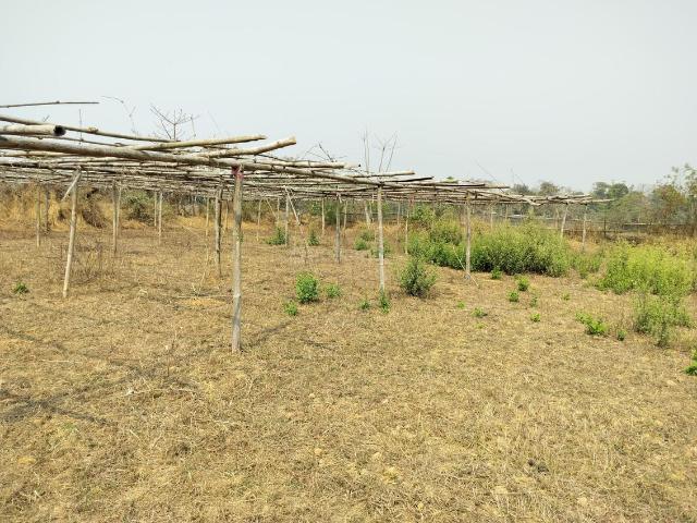 Land for sale in Amingaon, Assam