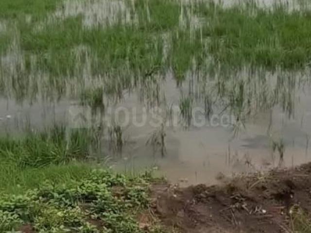 Land for sale in Chhattisgarh