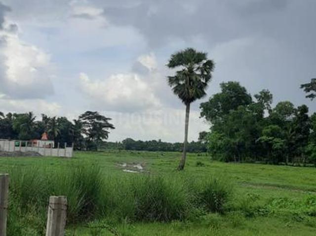 Land for sale in South 24 Parganas, West Bengal