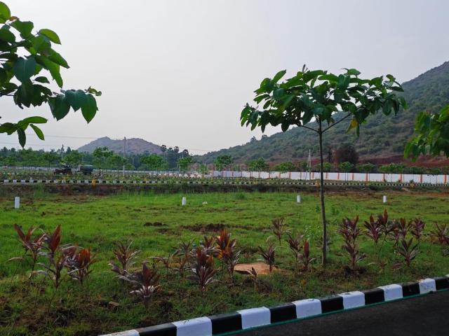 Land for sale in Anakapalle, Andhra Pradesh