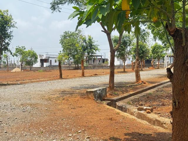 Land for sale in Anakapalle, Andhra Pradesh