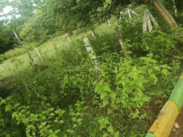 Land for sale in Andhra Pradesh