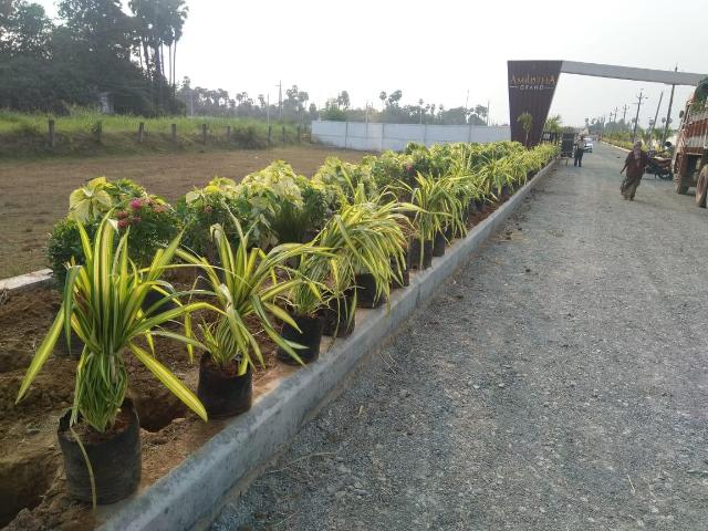 Land for sale in Andhra Pradesh