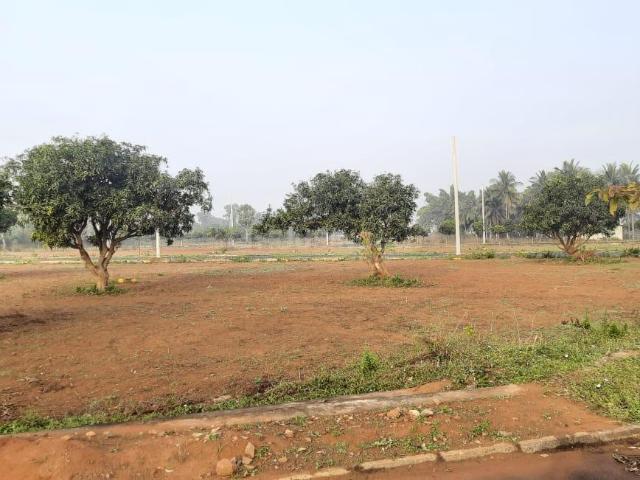 Land for sale in Andhra Pradesh