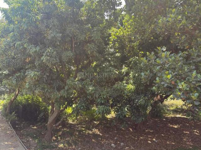 Land for sale in Kedarpur, Uttarakhand
