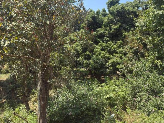Land for sale in Kedarpur, Uttarakhand