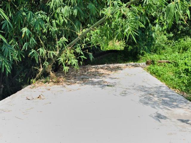 Land for sale in Kedarpur, Uttarakhand