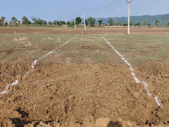 Land for sale in Bihar