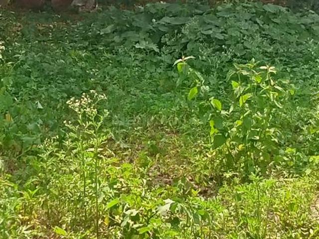 Land for sale in Bangalore South, Cox Town - Bangalore