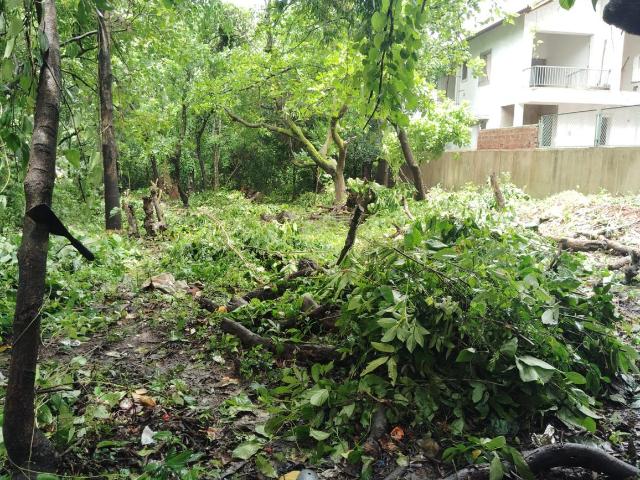 Land for sale in Mazal Vaddo, Anjuna