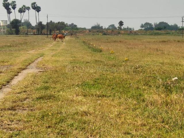 Land for sale in Arakkonam, Tamil Nadu