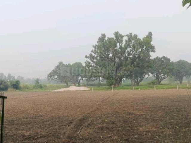 Land for sale in Ayodhya, Arunachal Pradesh