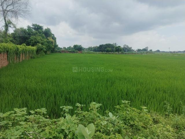 Land for sale in Ayodhya, Arunachal Pradesh