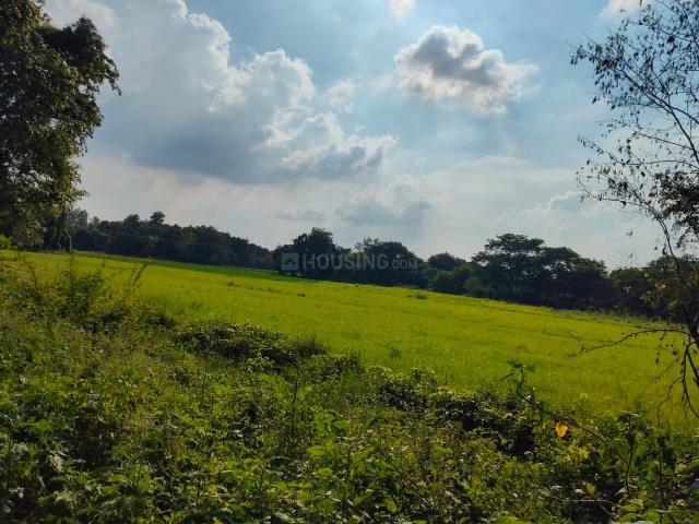 Land for sale in Ayodhya, Arunachal Pradesh