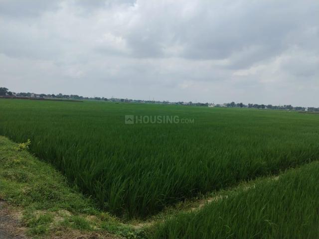 Land for sale in Nav Ayodhya, Ayodhya