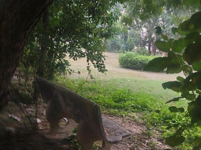 Land for sale in Arunachal Pradesh