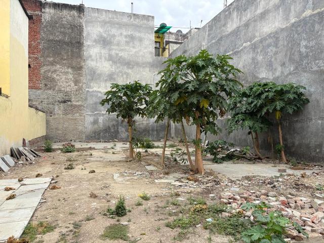 Land for sale in Lakhana, Arunachal Pradesh