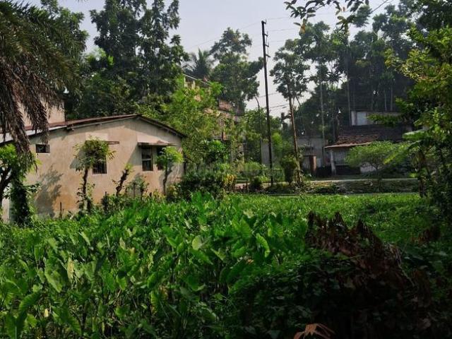 Land for sale in North 24 Parganas, West Bengal
