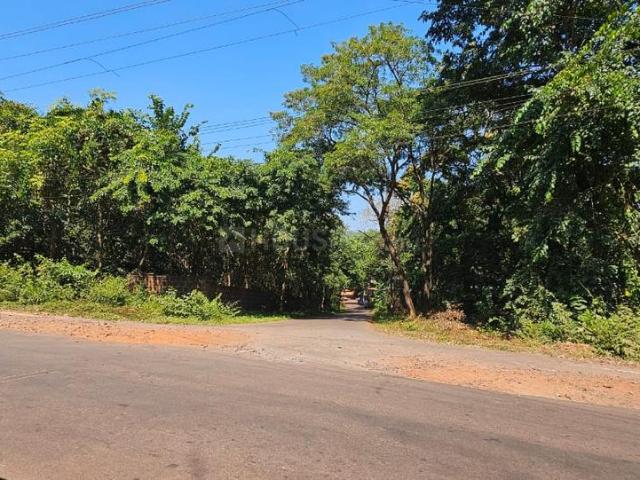 Land for sale in Assagao, Goa