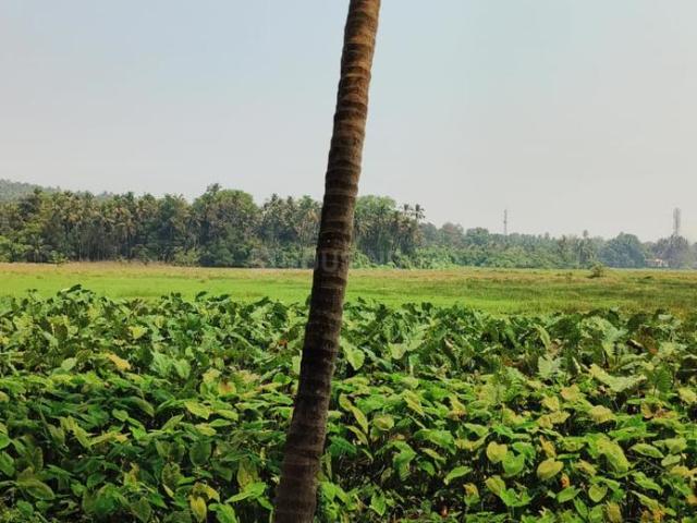 Land for sale in Assonora, Goa