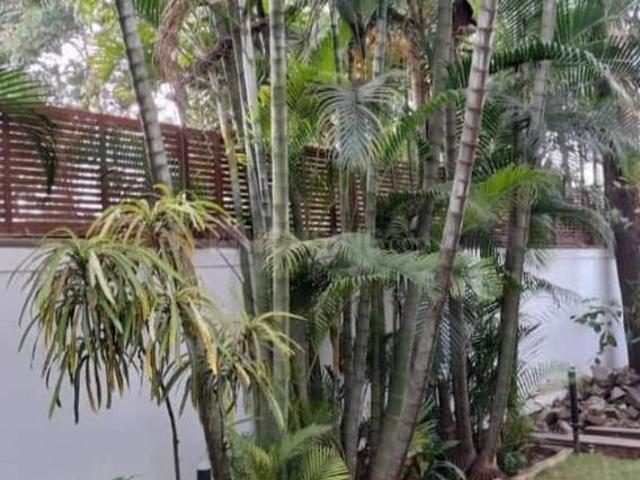 Land for sale in Aundh, Pune