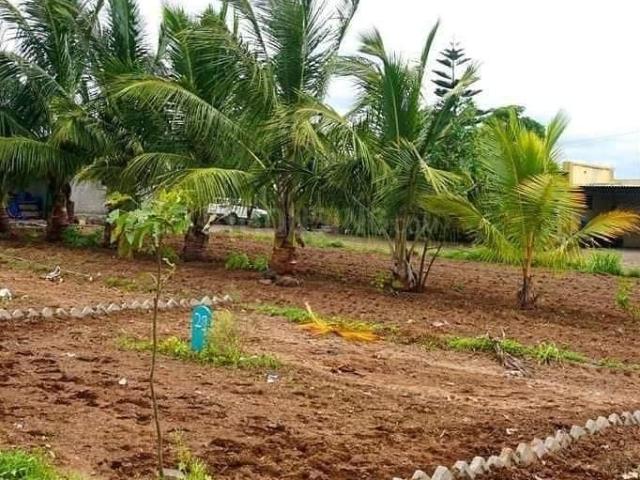 Land for sale in Haveli, National Capital Territory Of Delhi