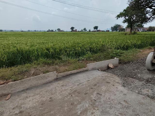 Land for sale in Madya