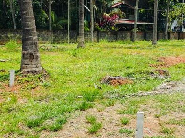 Land for sale in Ayyanthole, Thrissur