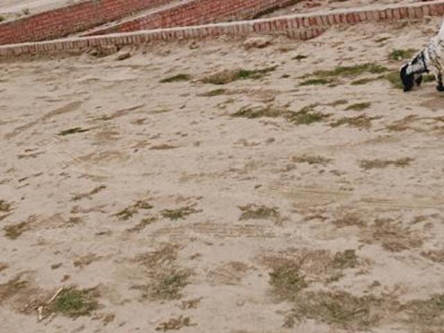 Land for sale in Pindra, Arunachal Pradesh