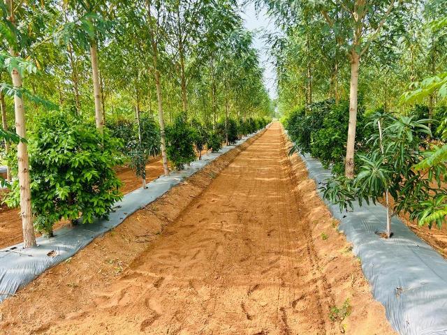 Land for sale in Jangaon, Telangana