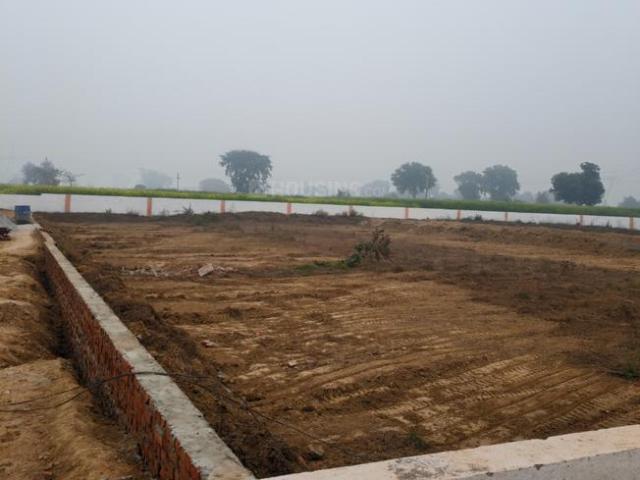 Land for sale in Tora, Arunachal Pradesh