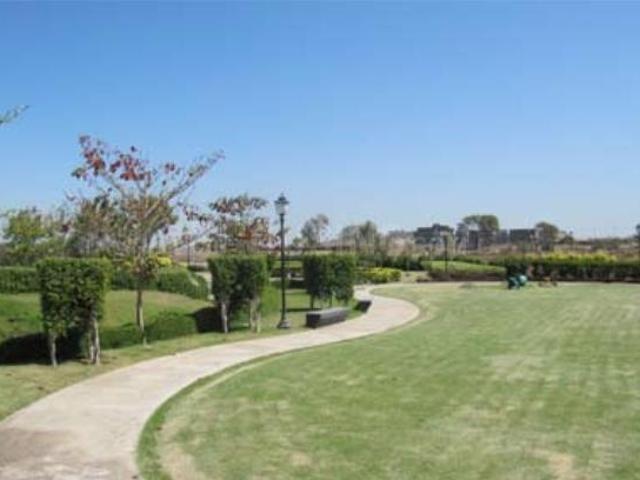 Land for sale in Madya