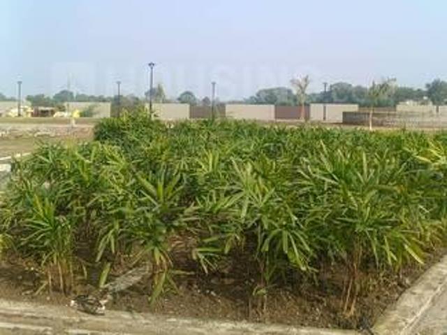 Land for sale in Madya