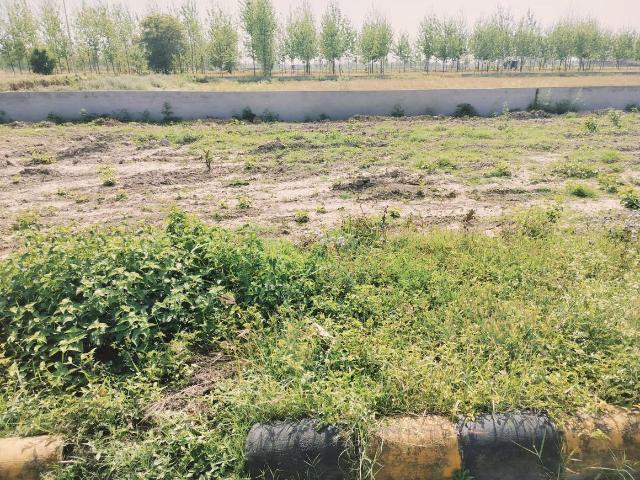 Land for sale in Roorkee, Haridwar
