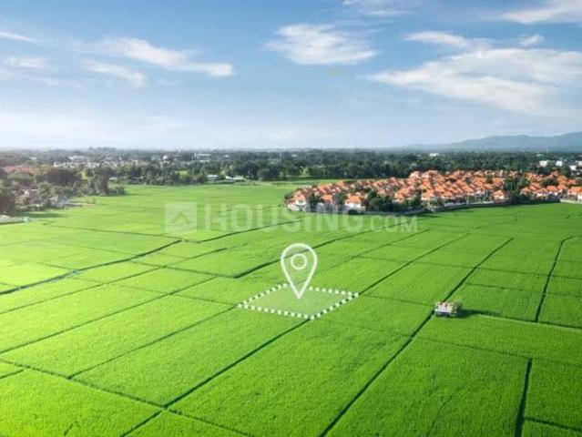 Land for sale in Jhajjar, Haryana