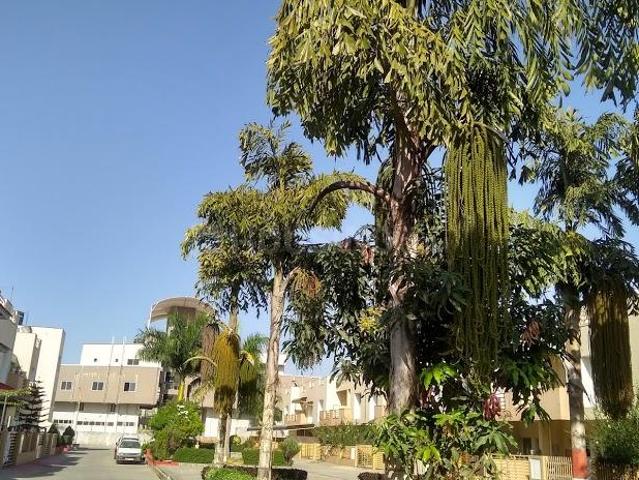 Land for sale in Madya