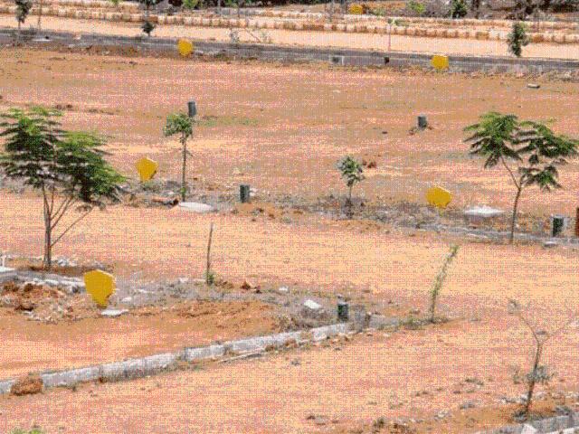 Land for sale in Pink City, Bagru
