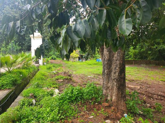 Land for sale in Nova Goa, Goa
