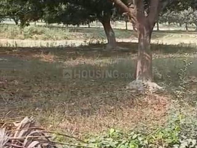 Land for sale in Bihar