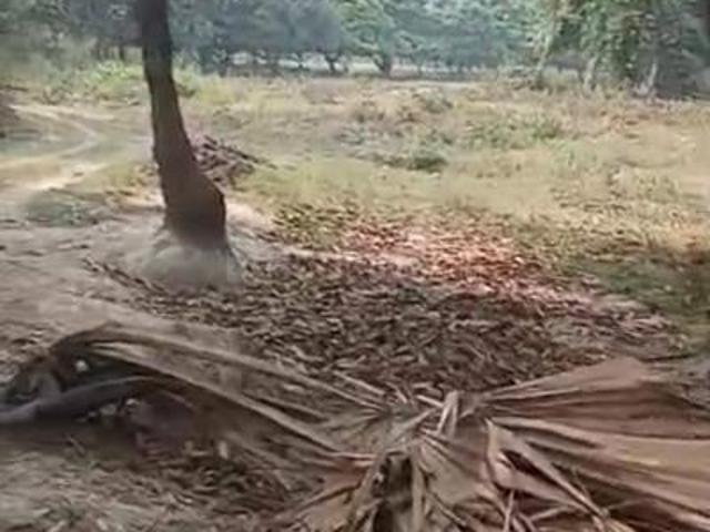 Land for sale in Bihar