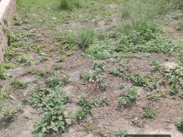 Land for sale in Bihar