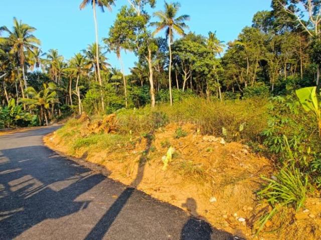Land for sale in Trivandrum