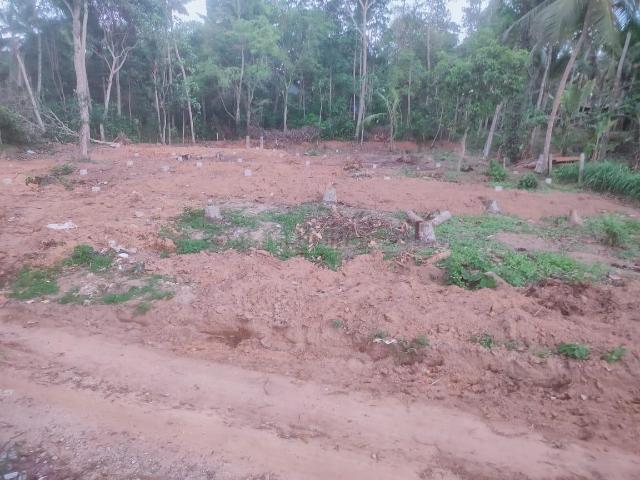 Land for sale in Balaramapuram, Kerala