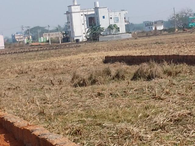 Land for sale in Balianta