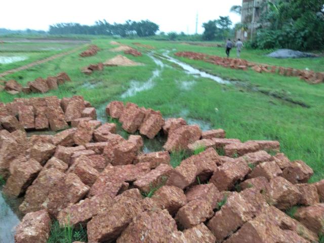 Land for sale in Balianta