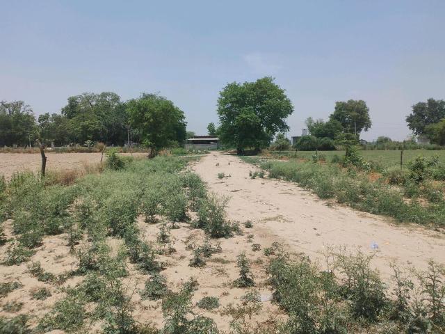 Land for sale in Hariana