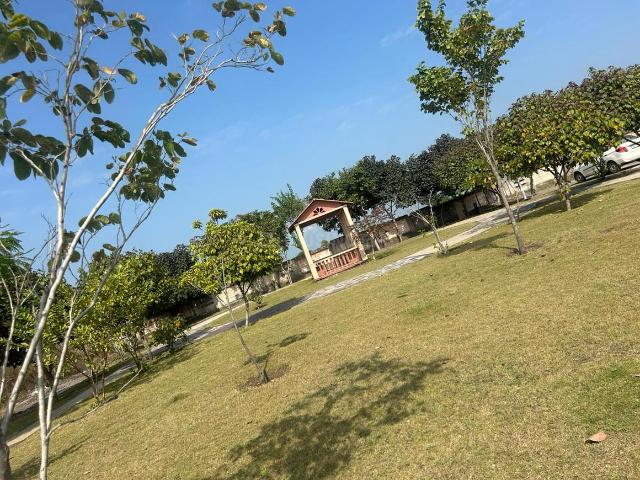 Land for sale in Madya